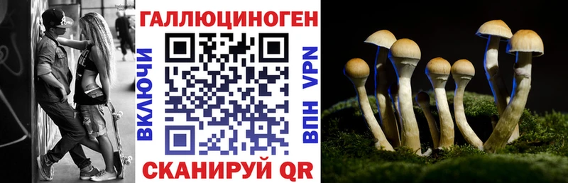 Псилоцибиновые грибы Psilocybine cubensis  где купить наркоту  Тара 